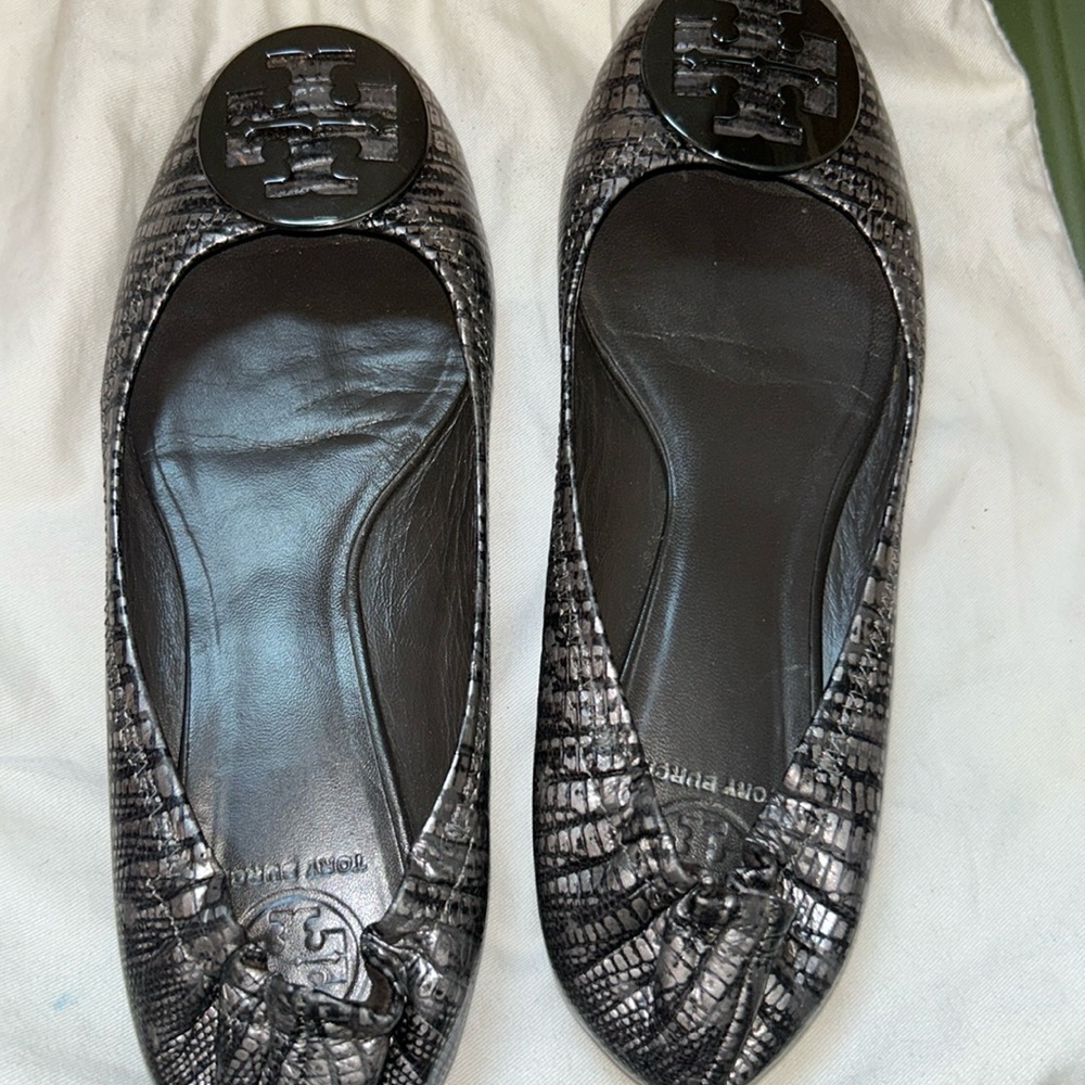 Ballerina Shoes By TB